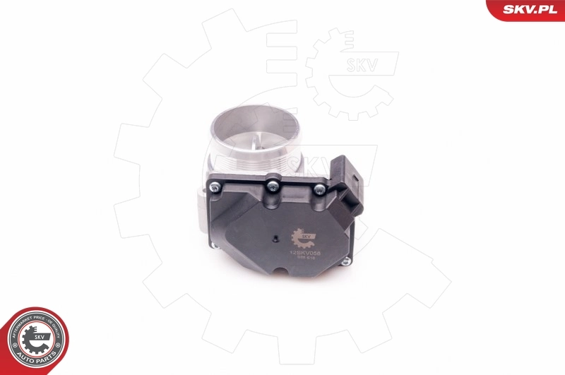 Throttle Body